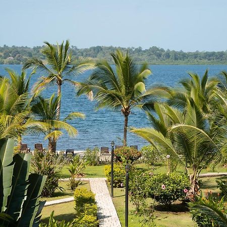 Dolphin Blue Paradise Bocas Town Kültér fotó