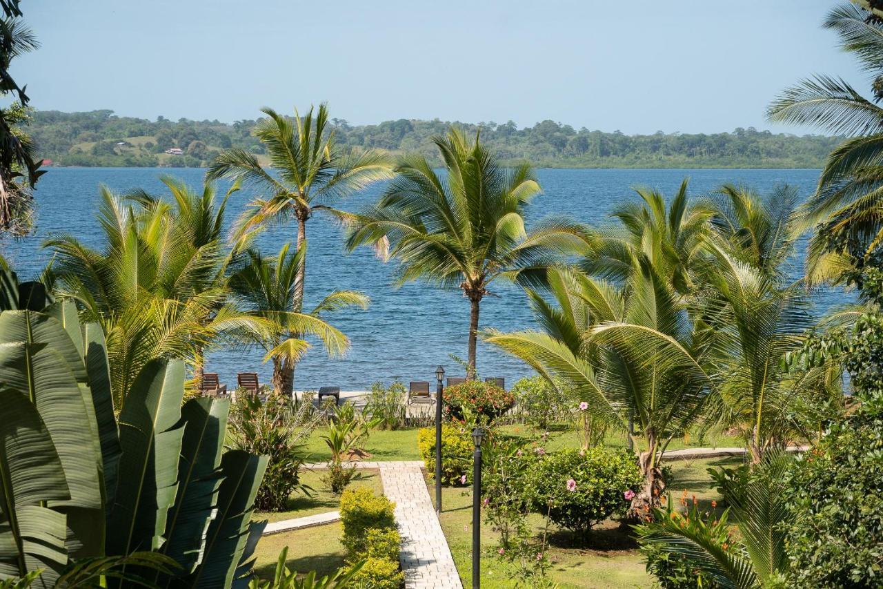 Dolphin Blue Paradise Bocas Town Kültér fotó