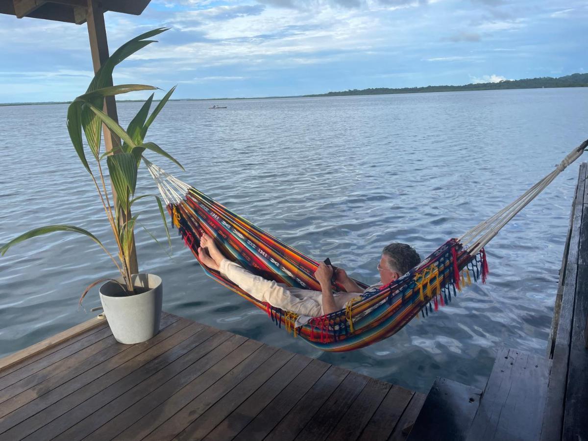 Dolphin Blue Paradise Bocas Town Kültér fotó