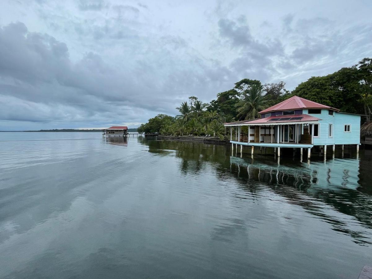 Dolphin Blue Paradise Bocas Town Kültér fotó