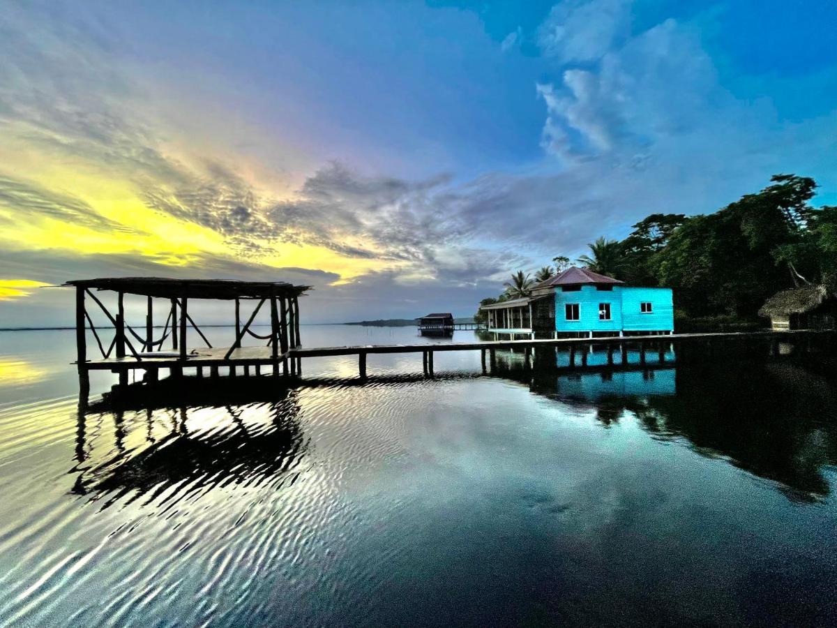 Dolphin Blue Paradise Bocas Town Kültér fotó