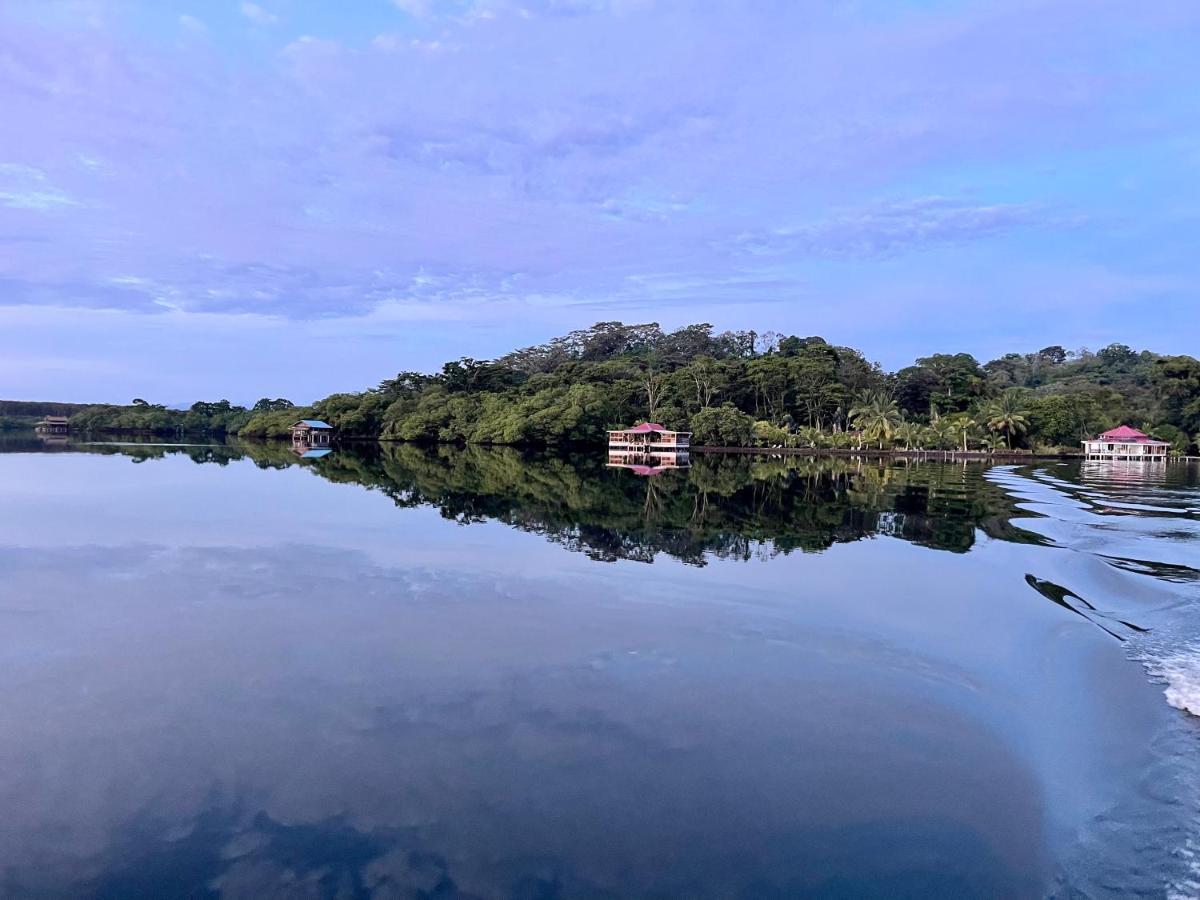 Dolphin Blue Paradise Bocas Town Kültér fotó