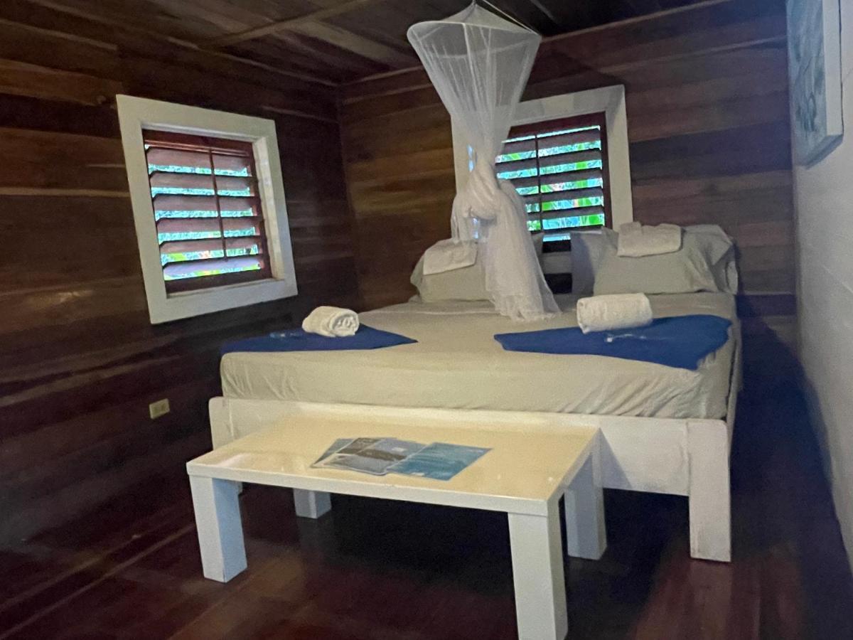 Dolphin Blue Paradise Bocas Town Kültér fotó