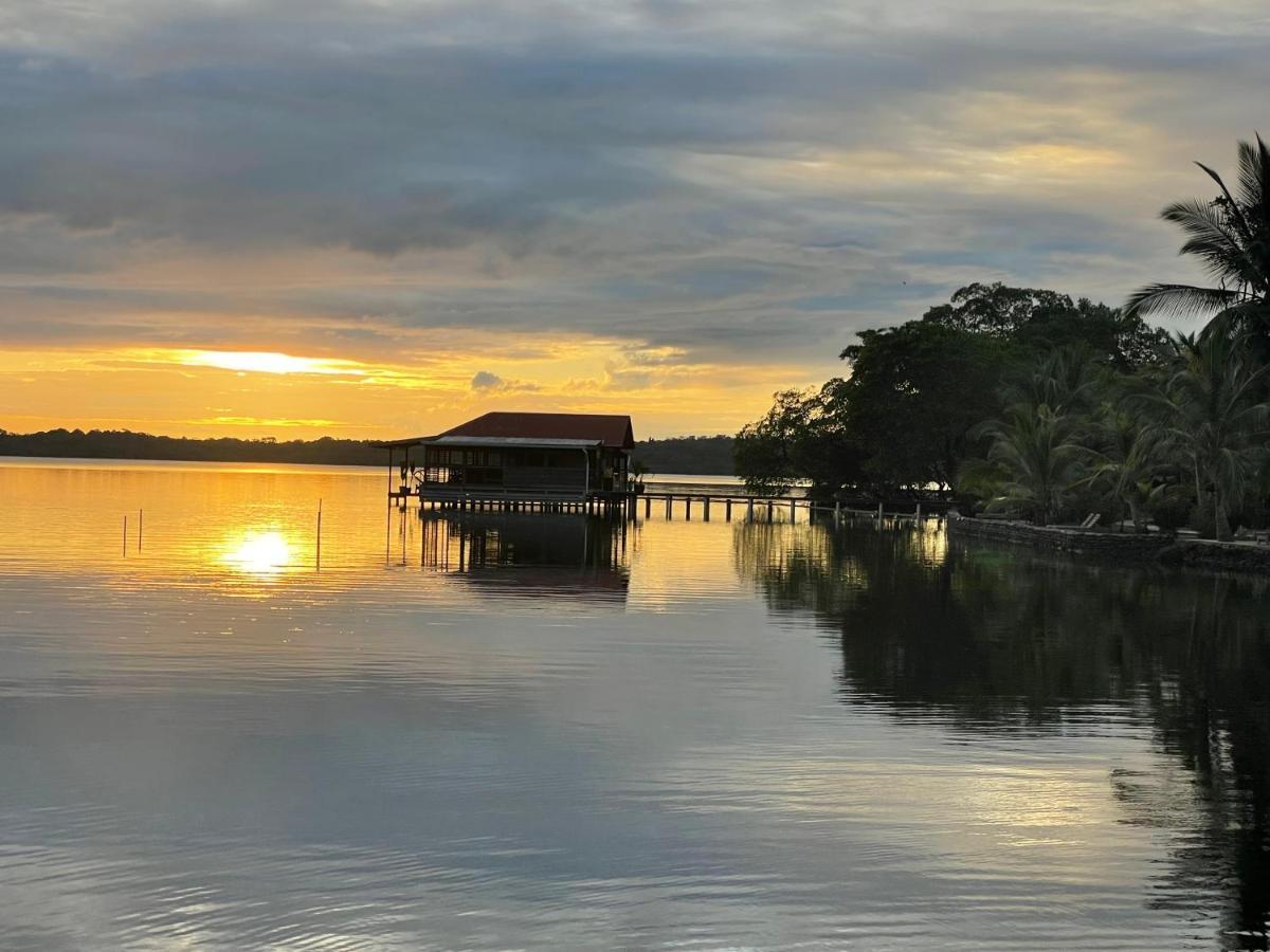 Dolphin Blue Paradise Bocas Town Kültér fotó