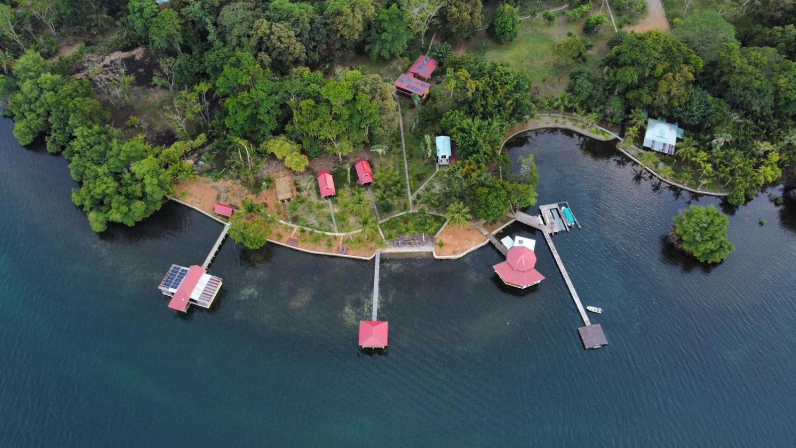 Dolphin Blue Paradise Bocas Town Kültér fotó