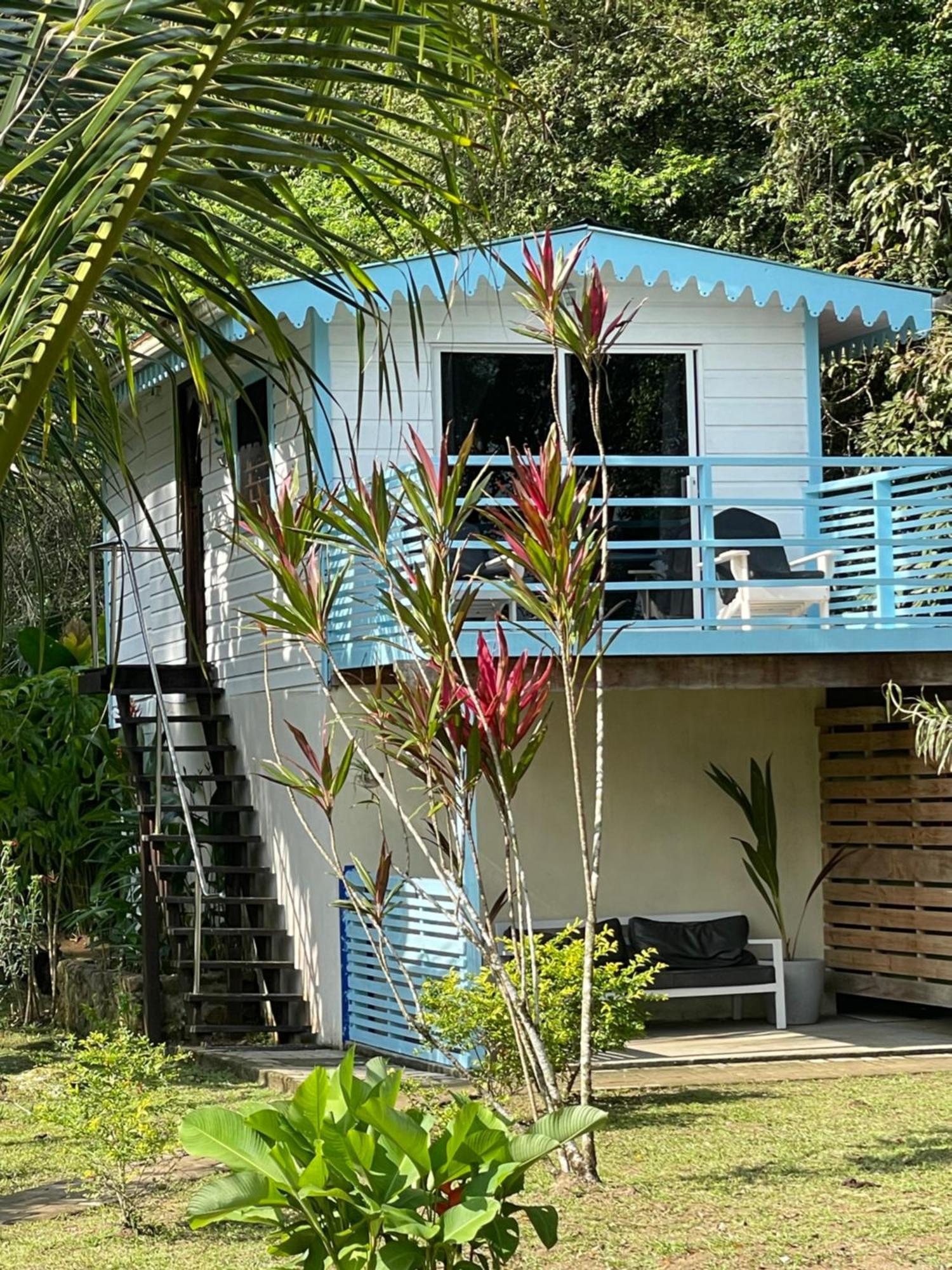 Dolphin Blue Paradise Bocas Town Kültér fotó