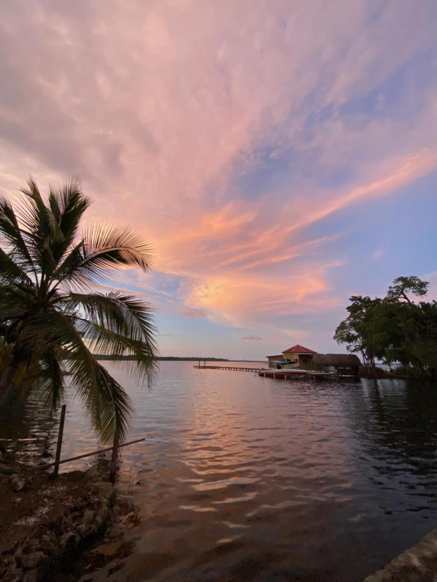 Dolphin Blue Paradise Bocas Town Kültér fotó