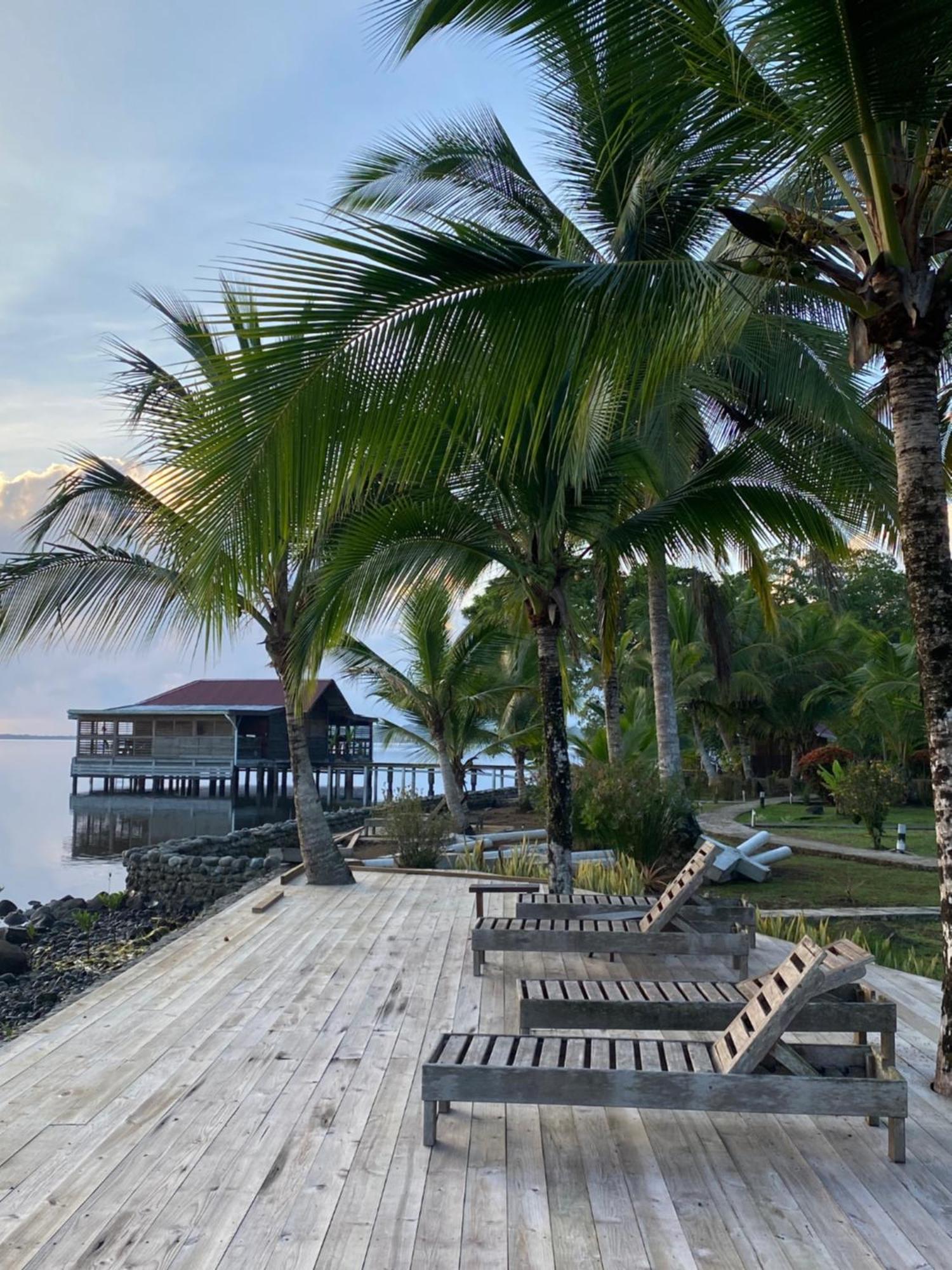 Dolphin Blue Paradise Bocas Town Kültér fotó
