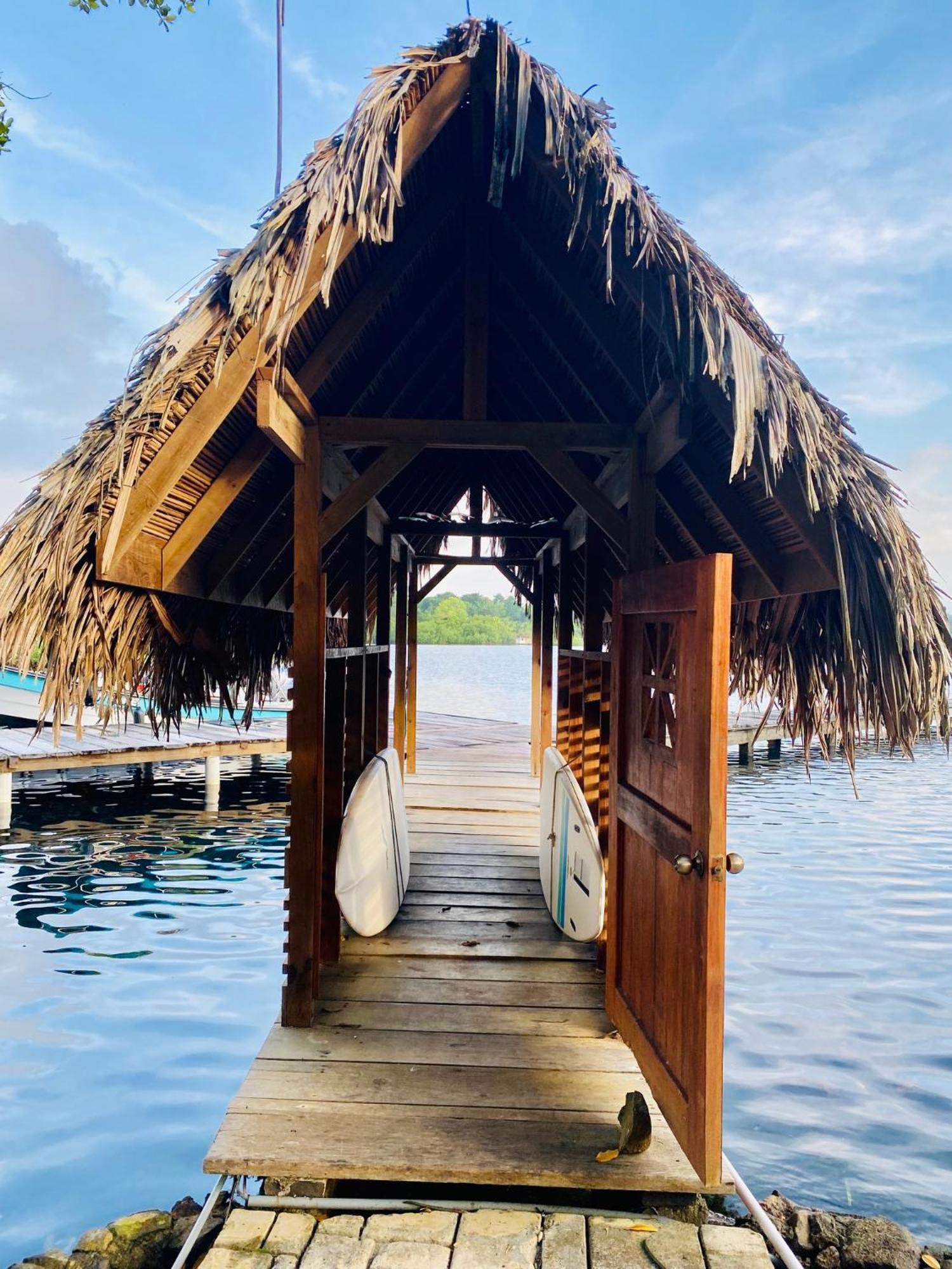 Dolphin Blue Paradise Bocas Town Kültér fotó