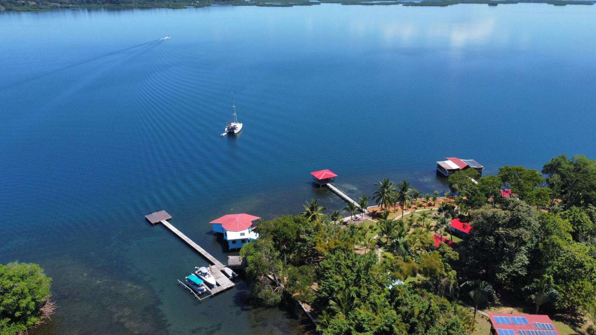 Dolphin Blue Paradise Bocas Town Kültér fotó
