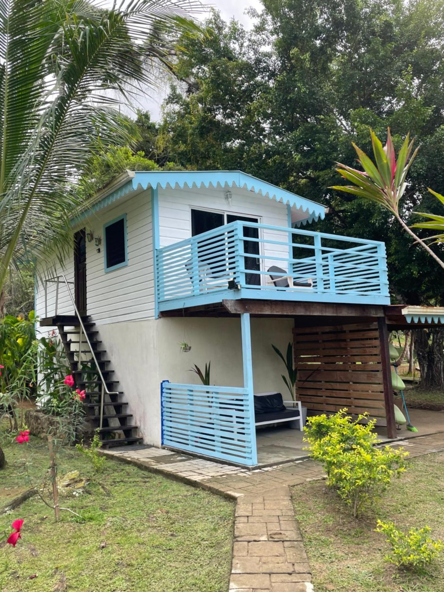 Dolphin Blue Paradise Bocas Town Kültér fotó
