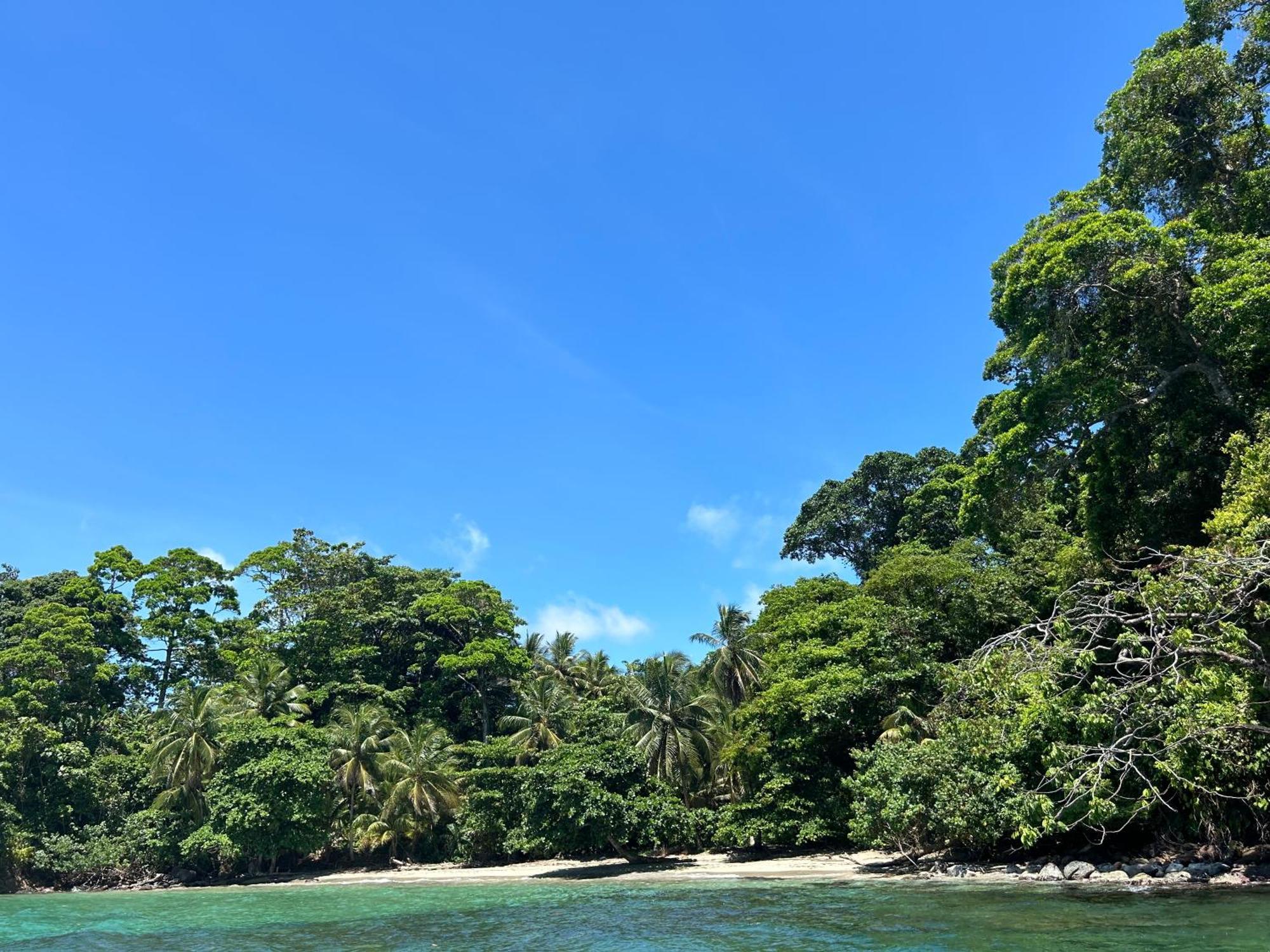 Dolphin Blue Paradise Bocas Town Kültér fotó